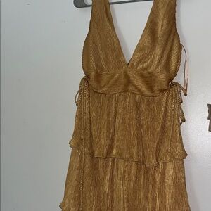 Lena Gold Backless Dress